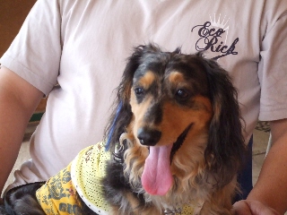 2009_0614 はる0016.jpg