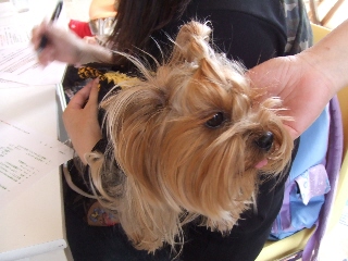 2009_0614 はる0017.jpg