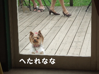 2009_0614 はる0022.jpg