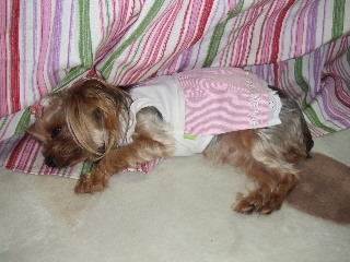2009_0614 はる0061.jpg