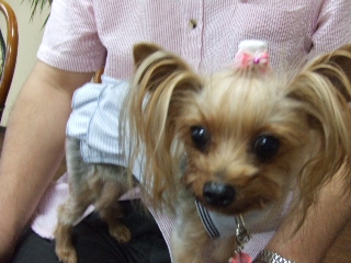 2009_0629 はる0032.jpg
