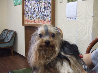 2009_0629 はる0047.jpg