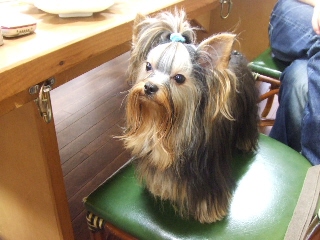 2009_0629 はる0069.jpg
