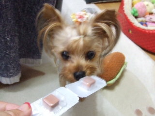 2009_0701 はる0015.jpg