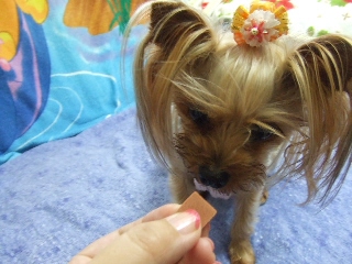 2009_0701 はる0016.jpg