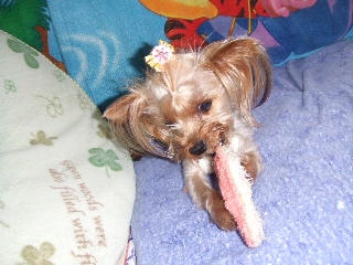 2009_0702 はる0013.jpg