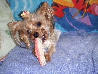 2009_0702 はる0015.jpg