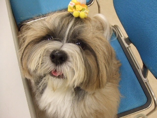 2009_0705 02アーチーくん.jpg