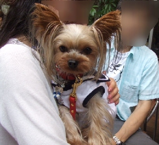 2009_0705 06robinkunJPG.jpg