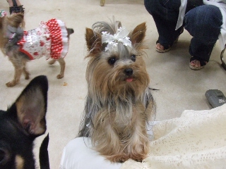 2009 0705 07tyutyuchan.JPG