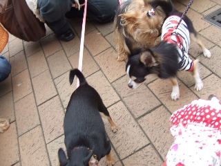 2009_0705 10.jpg