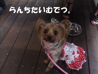 2009_0705 13.jpg