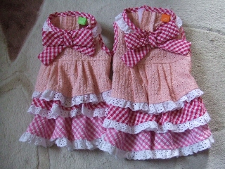 2009_0707 03.jpg
