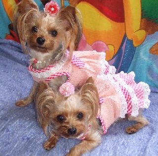 2009_0707 04.jpg
