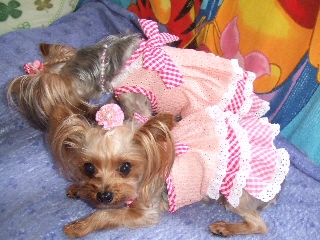 2009_0707 05.jpg