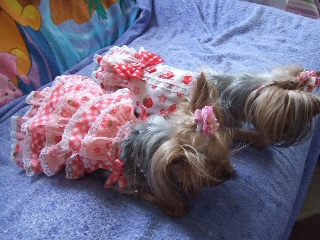 2009_0707 09.jpg