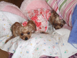 2009_0707 11.jpg