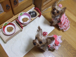 2009_0708 はる0010.jpg