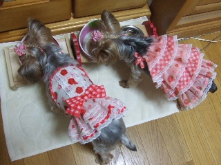 2009_0708 はる0011.jpg