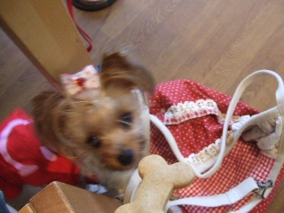 2009_0708 はる0033.jpg