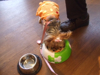 2009_0708 はる0036.jpg