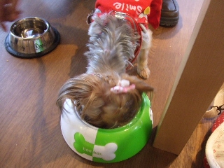 2009_0708 はる0037.jpg