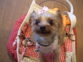 2009_0708 はる0039.jpg