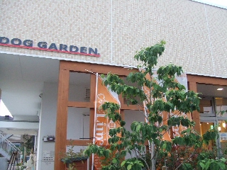 2009_0708 はる0041.jpg