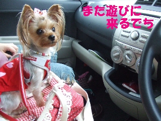 2009_0708 はる0044.jpg