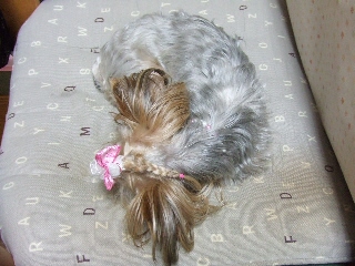 2009_0714 はる0041.jpg