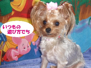 2009_0717 はる0020.jpg