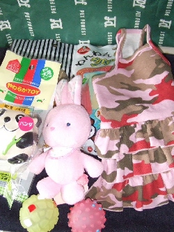 2009_0718 はる0010.jpg