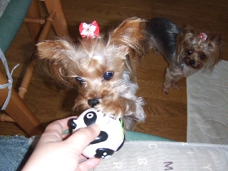 2009_0718 はる0017.jpg