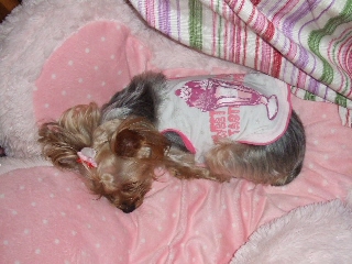 2009_0718 はる0023.jpg