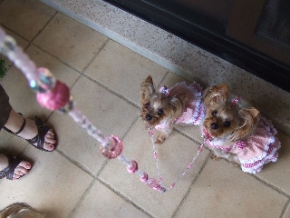 2009_0719 はる0083.jpg