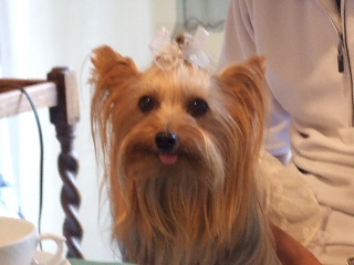 2009_0719 はる0085.jpg