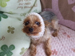 2009_0728 はる0018.jpg