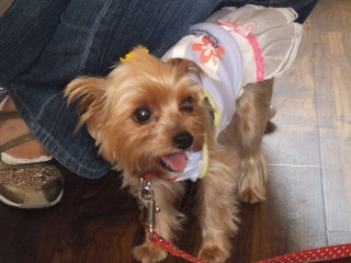 2009_0729 はる0017.jpg