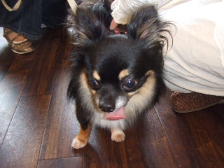 2009_0729 はる0018.jpg