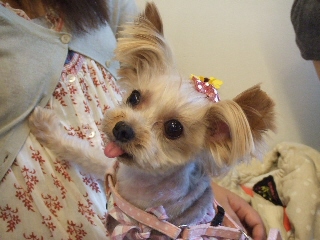 2009_0729 はる0026.jpg