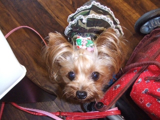 2009_0729 はる0034.jpg