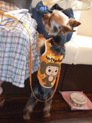 2009_0729 はる0037.jpg
