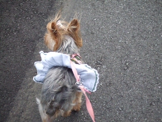 2009_0729 はる0056.jpg