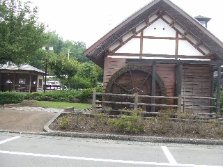 2009_0812 はる0016.jpg