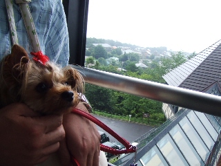 2009_0812 はる0021.jpg