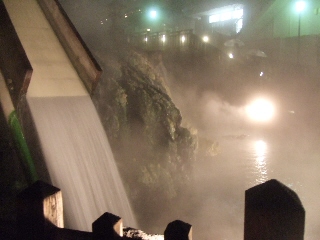 2009_0812 はる0036.jpg