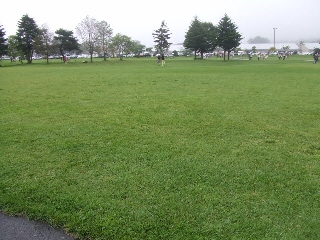 2009_0812 はる0045.jpg