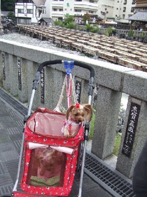 2009_0812 はる0139.jpg