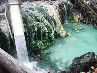2009_0812 はる0154.jpg