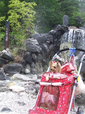 2009_0812 はる0164.jpg